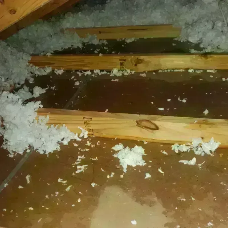 Attic Water Damage in Onida, SD